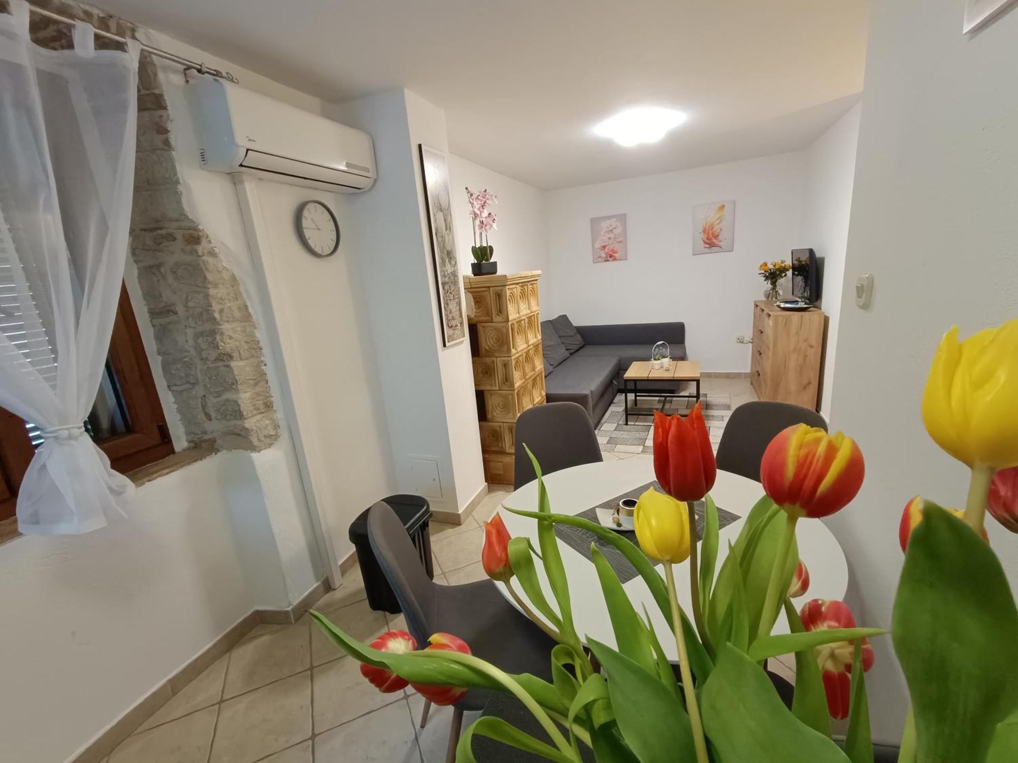 Adria Pearl Appartments Vrsar Ngoại thất bức ảnh